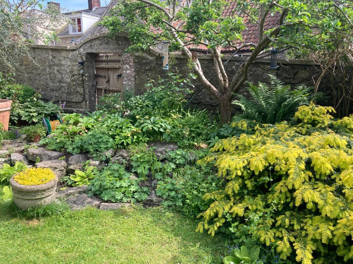 Maplestone Bed & Breakfast Shepton Mallet Ngoại thất bức ảnh
