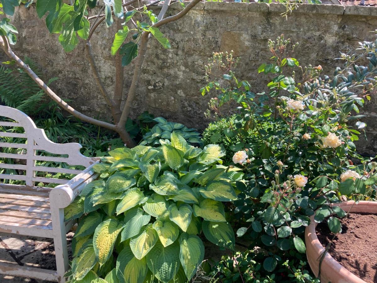Maplestone Bed & Breakfast Shepton Mallet Ngoại thất bức ảnh