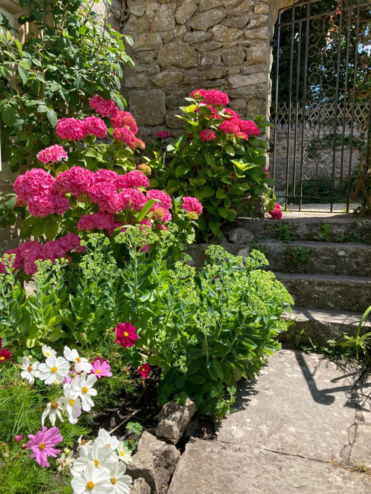 Maplestone Bed & Breakfast Shepton Mallet Ngoại thất bức ảnh