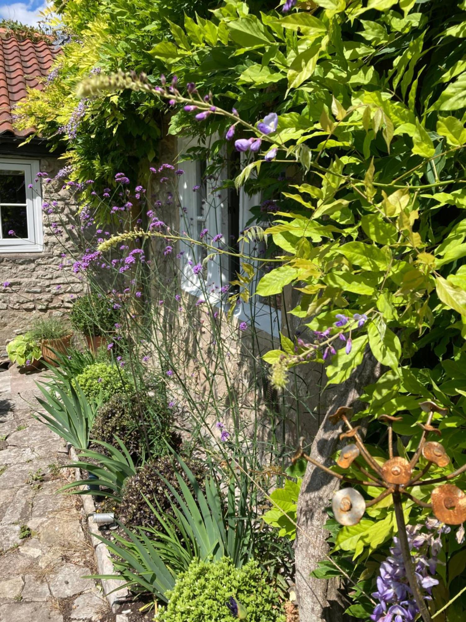 Maplestone Bed & Breakfast Shepton Mallet Ngoại thất bức ảnh